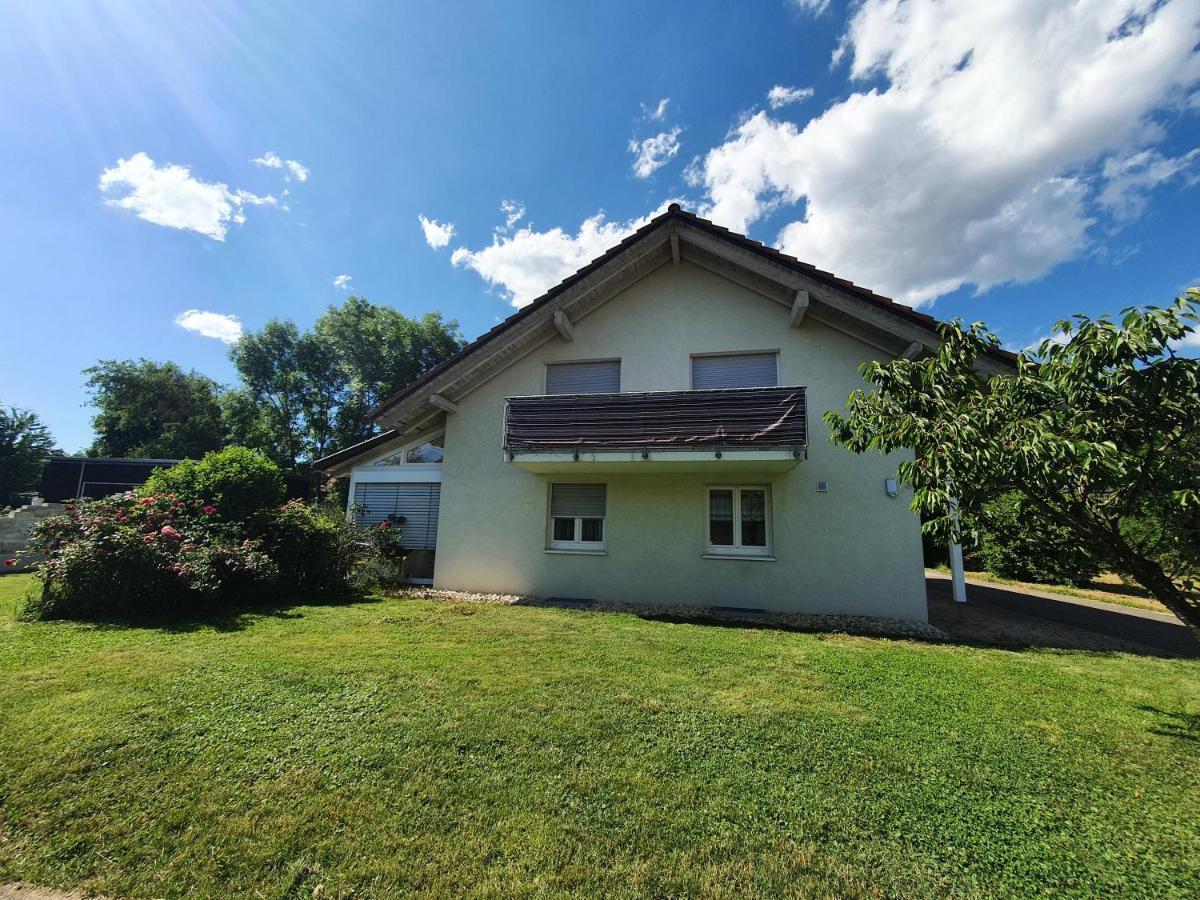 Klettgauperle - Familien- Und Behindertengerechte Ferienwohnung Griessen エクステリア 写真